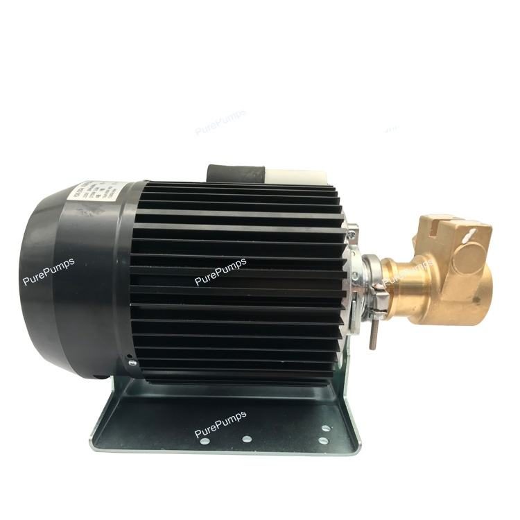 Bơm cánh gạt Procon 220V kèm motor